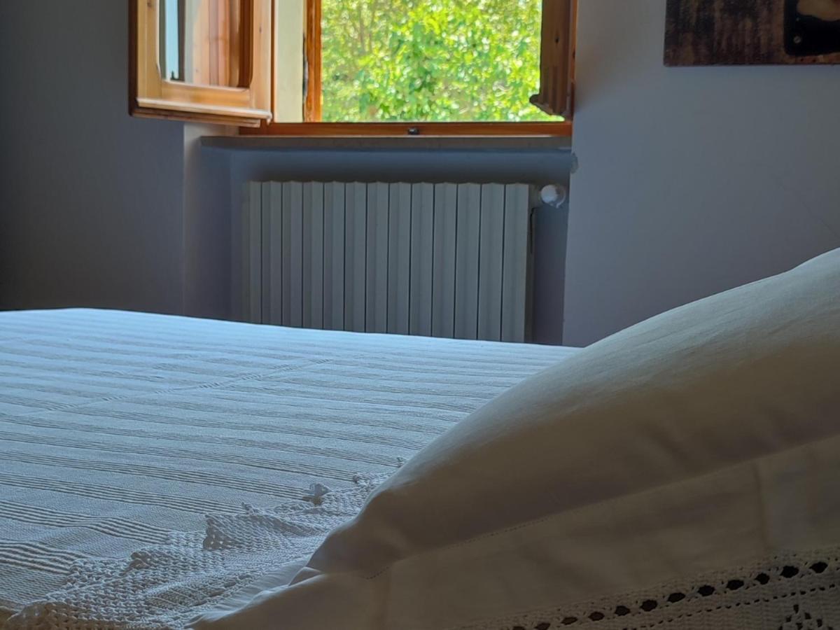 Bed And Breakfast Country Hill Arezzo Exterior foto