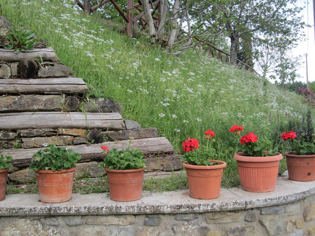 Bed And Breakfast Country Hill Arezzo Exterior foto