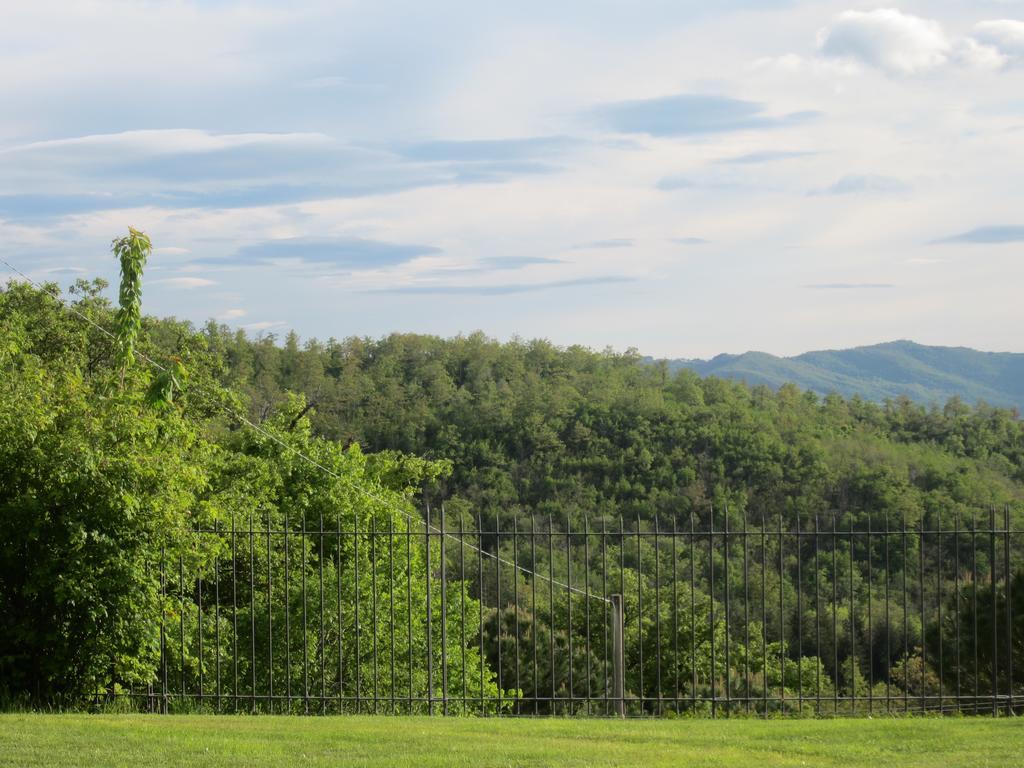 Bed And Breakfast Country Hill Arezzo Exterior foto