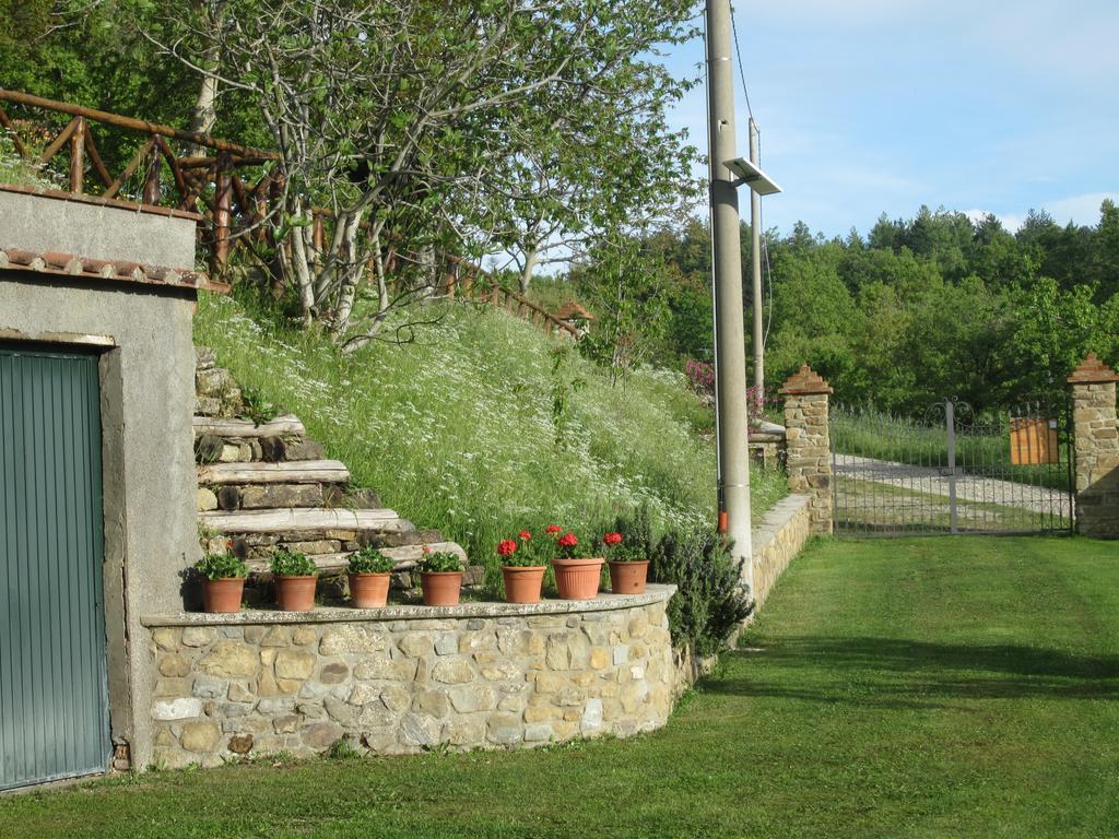 Bed And Breakfast Country Hill Arezzo Exterior foto