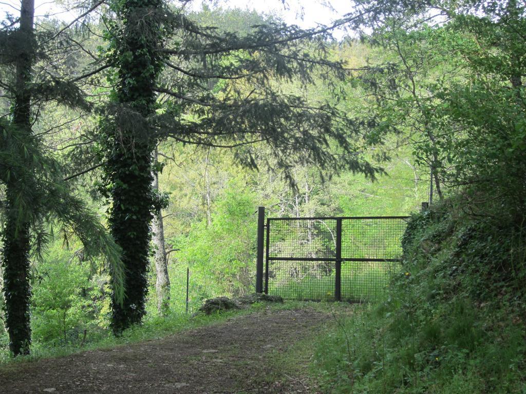 Bed And Breakfast Country Hill Arezzo Exterior foto