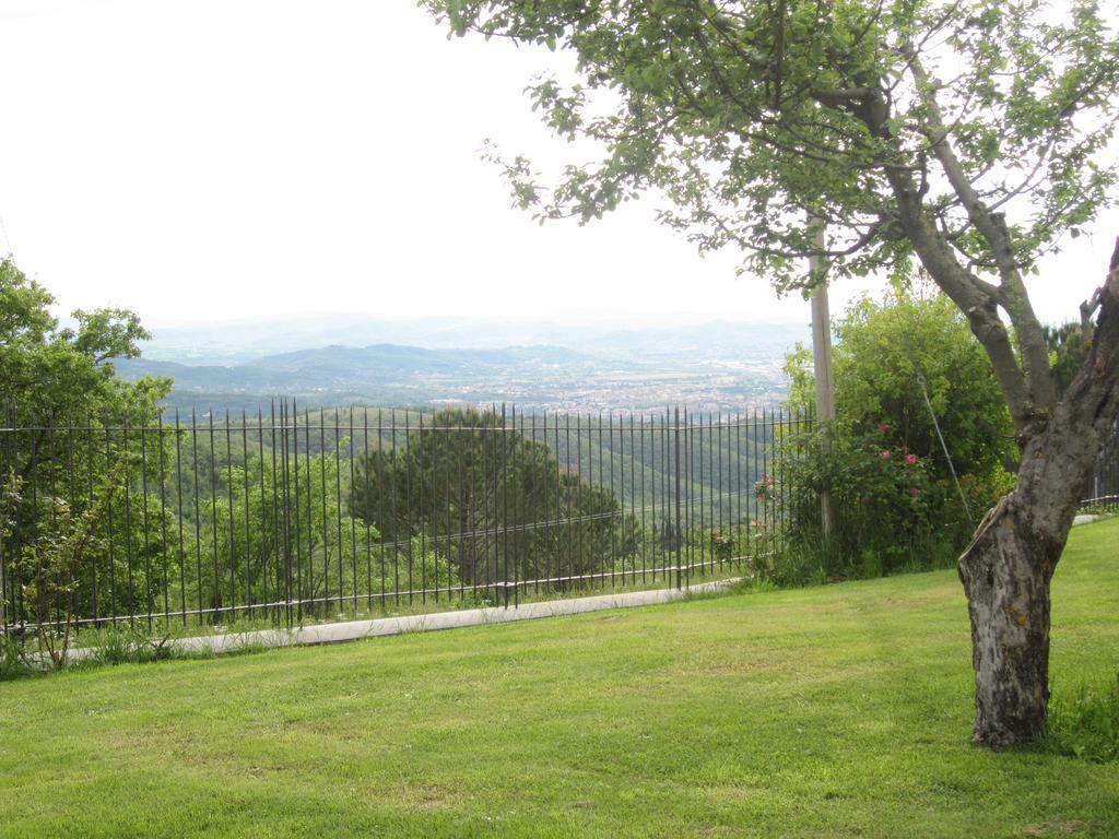 Bed And Breakfast Country Hill Arezzo Exterior foto