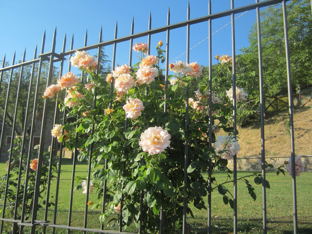 Bed And Breakfast Country Hill Arezzo Exterior foto