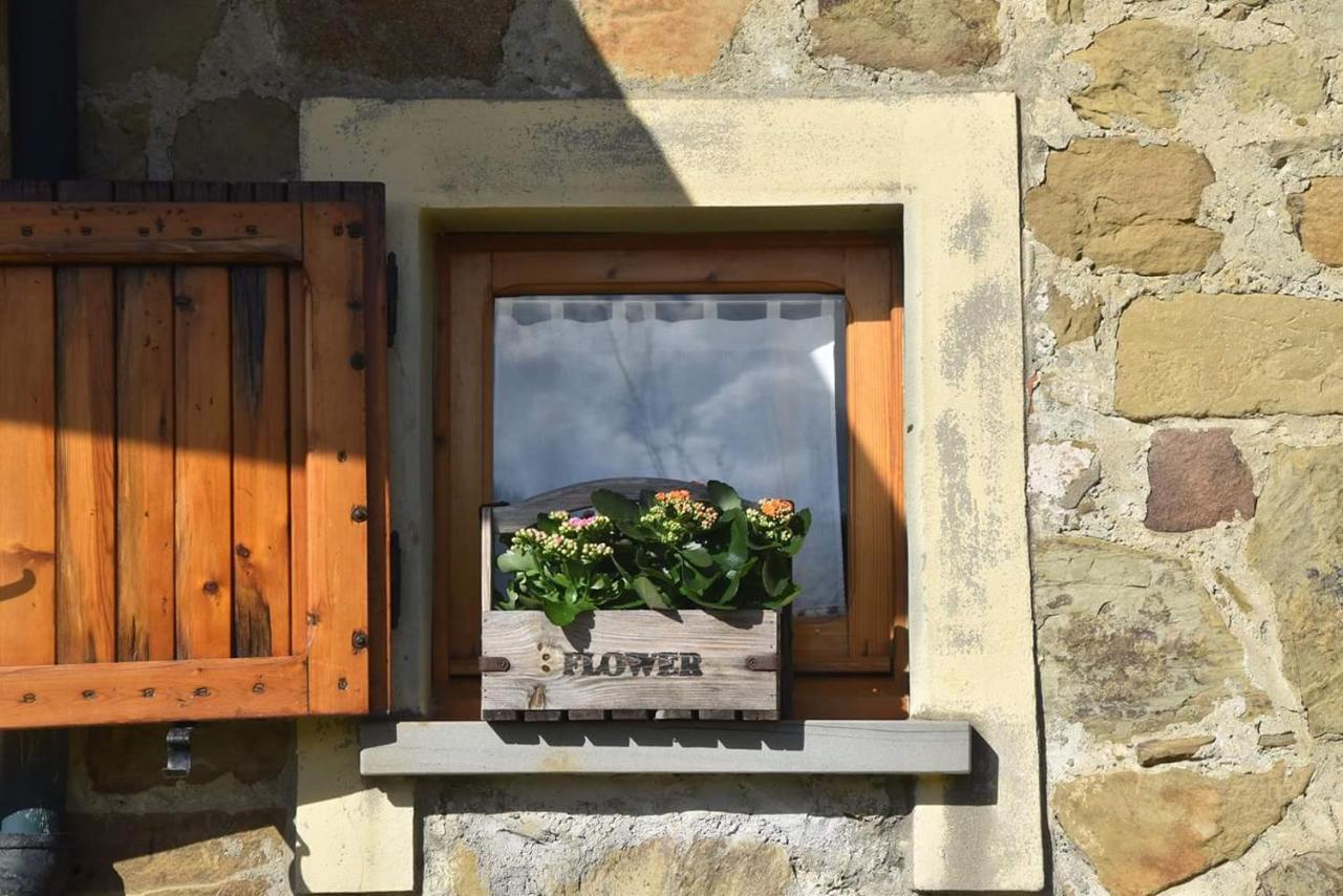 Bed And Breakfast Country Hill Arezzo Exterior foto
